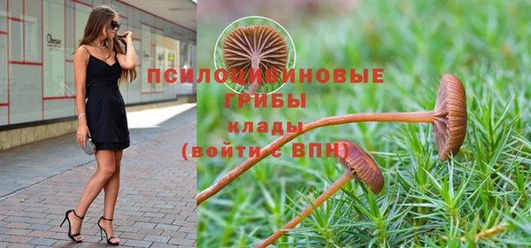крисы Богородск
